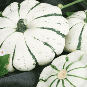 White pumpkins with green stripes on a dark surface.